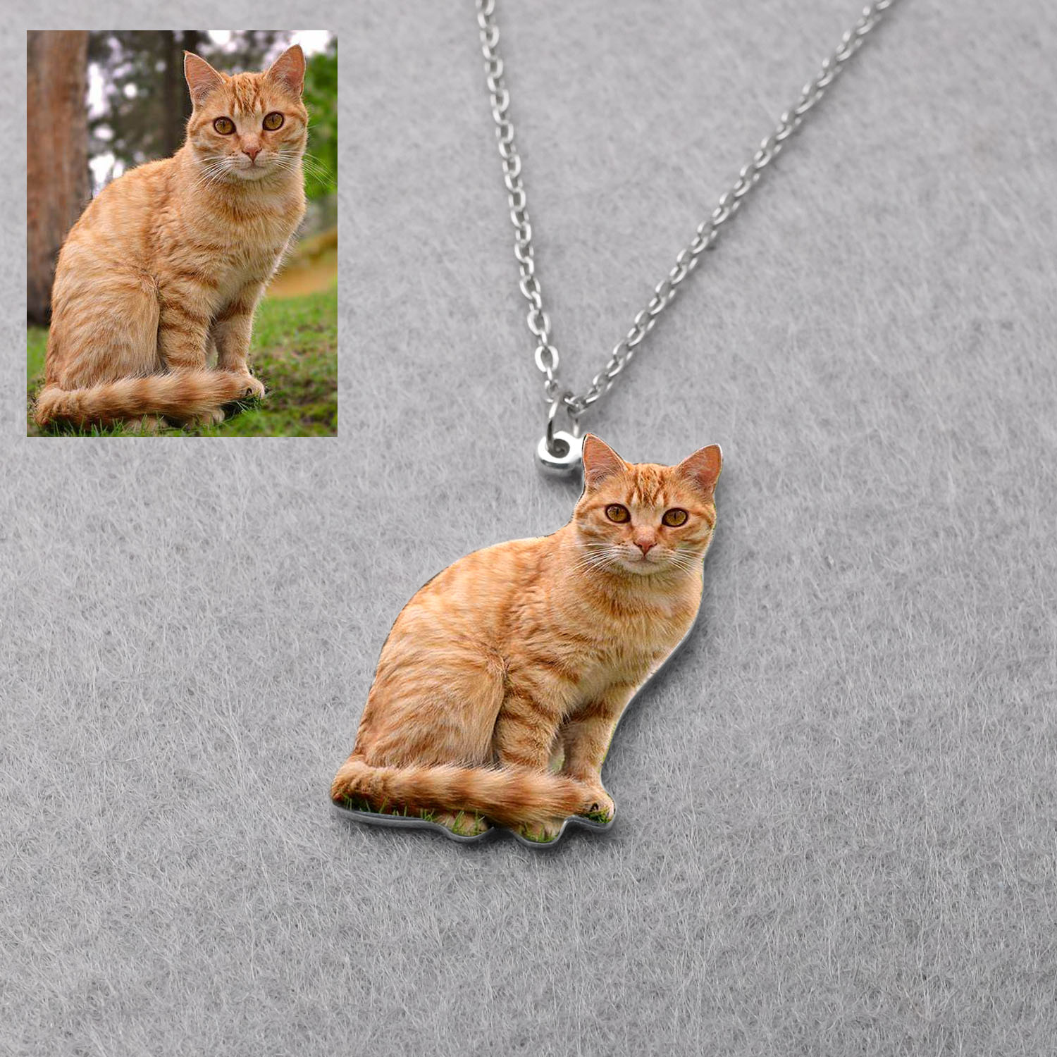 Kalung Foto Hewan Peliharaan y - Pet Portrait Custom ulasan dan harga
